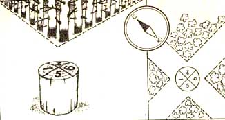 Определение сторон горизонта