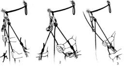 На альпийском рельефе