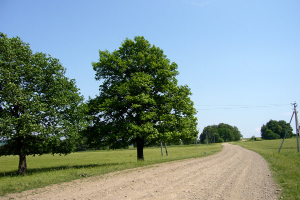 Дорога в Аскино