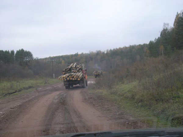 встретились два лесовоза