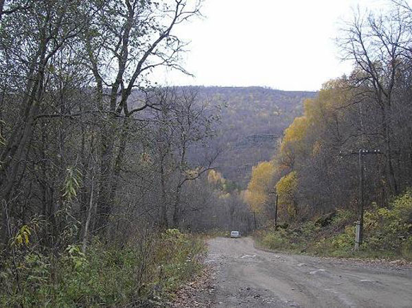 встретились два лесовоза