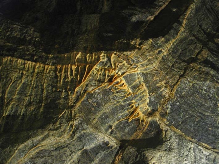 Кызыл- яровская (им.Максимовича)