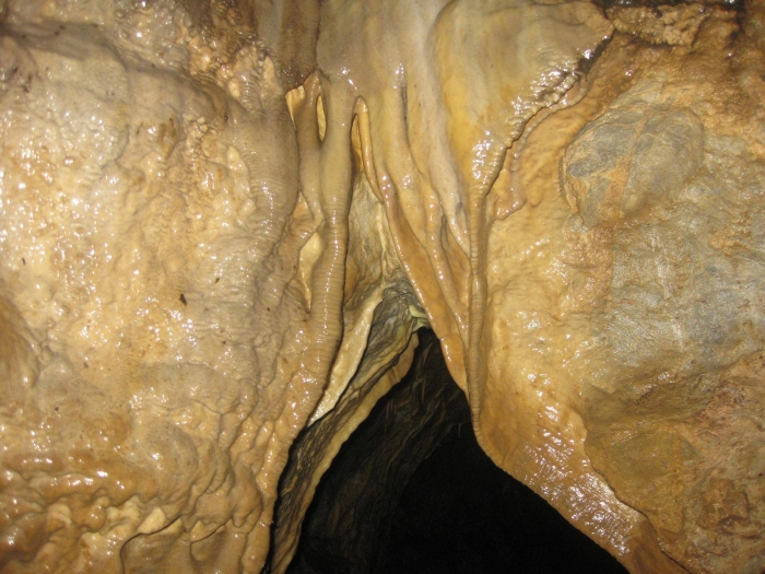 приметный выход