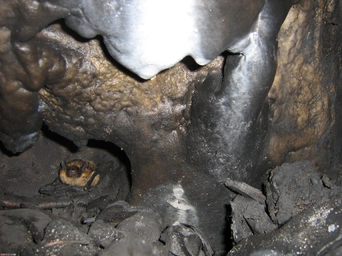 Ледяные сталагмиты Аскинской