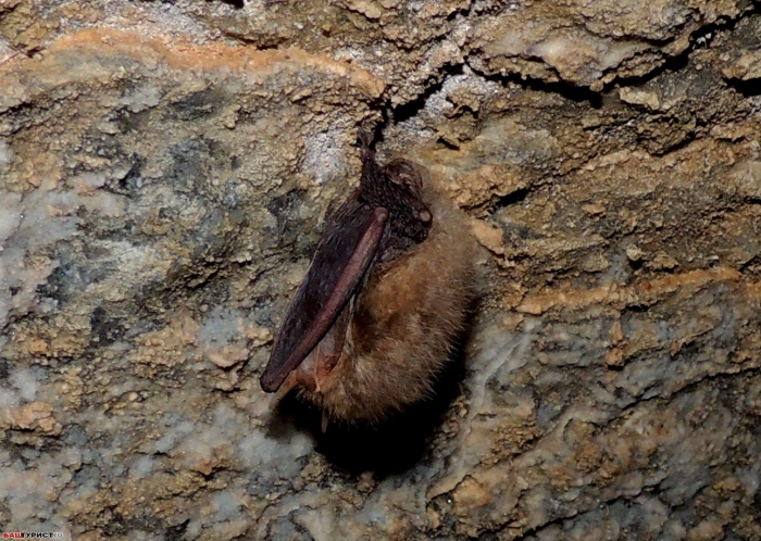 Ишеево. Ишимбайский район