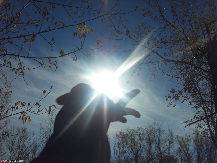 Все в твоих руках