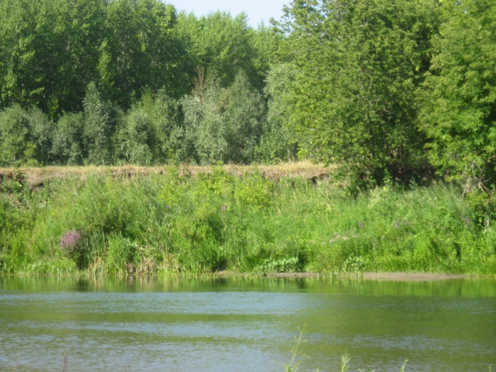 Река Дема. ее истоки