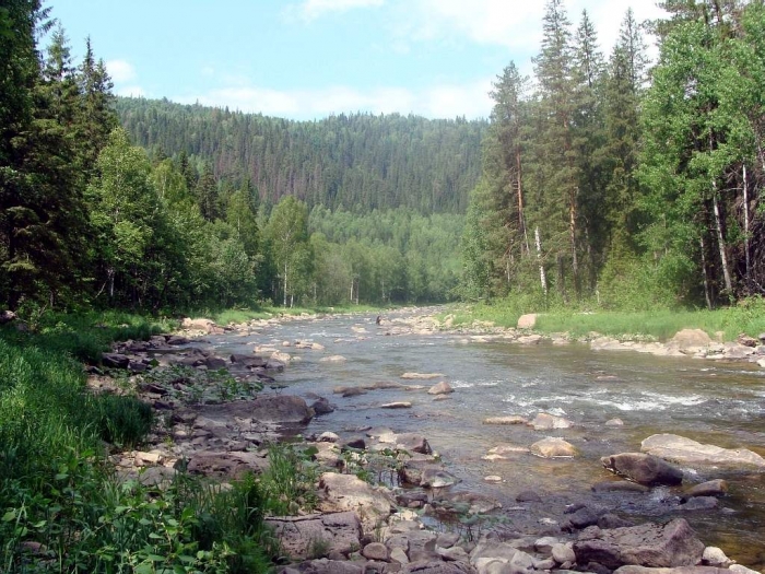 Горная Река Лемеза