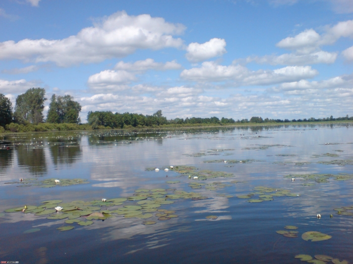 Озеро Елань