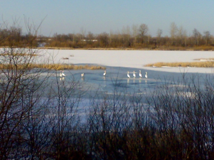 Озеро Елань