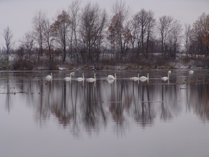 Озеро Елань