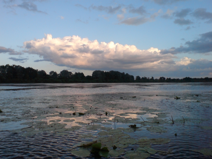 Озеро Елань