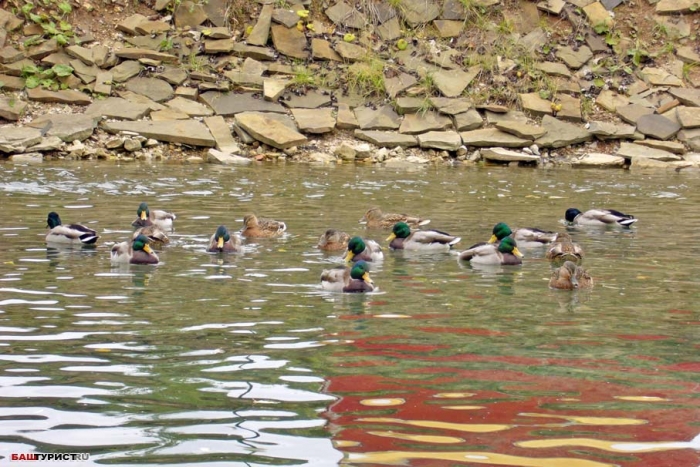 Территория санатория Красноусольск