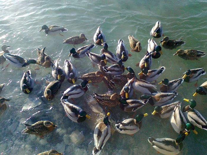 Территория санатория Красноусольск