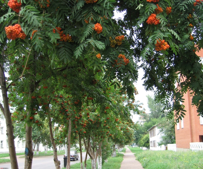 Город Салават. Фото разных лет