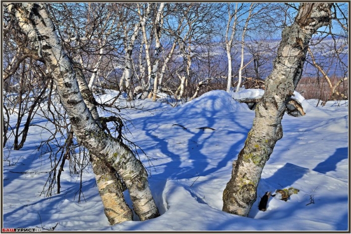 Вид Уральских гор. Аджигардак.