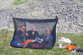 Средство от защиты насекомых- это москитное укрытие