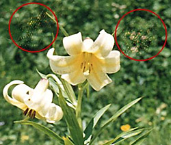 Фотографирование в горных походах